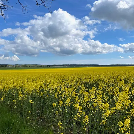 Seeadler 615 Mit Meerblick In Apartament Binz